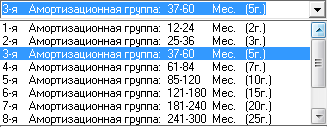 Амортизационные группы. Инструменты планирования Budget-Plan Express позволяют описывать активы